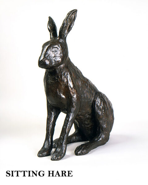 Hare IV