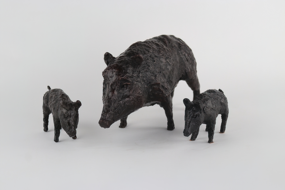 Boars IV – the sow and 2 boarlets